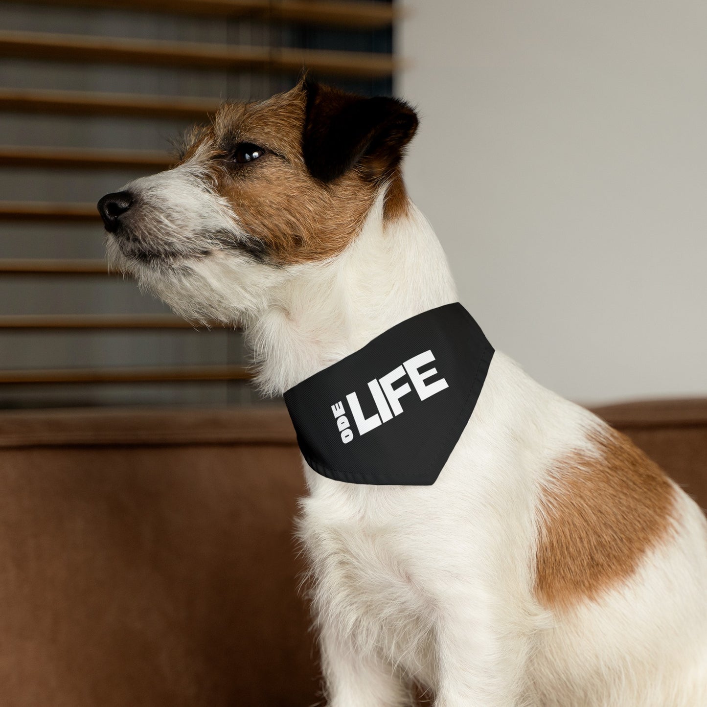 Pet Bandana Collar - ODE Life
