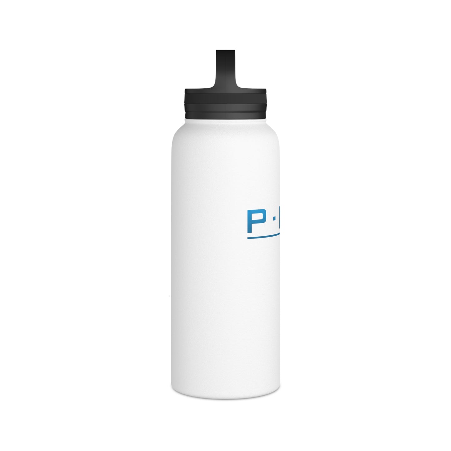 Stainless Steel Water Bottle, Handle Lid - Pen