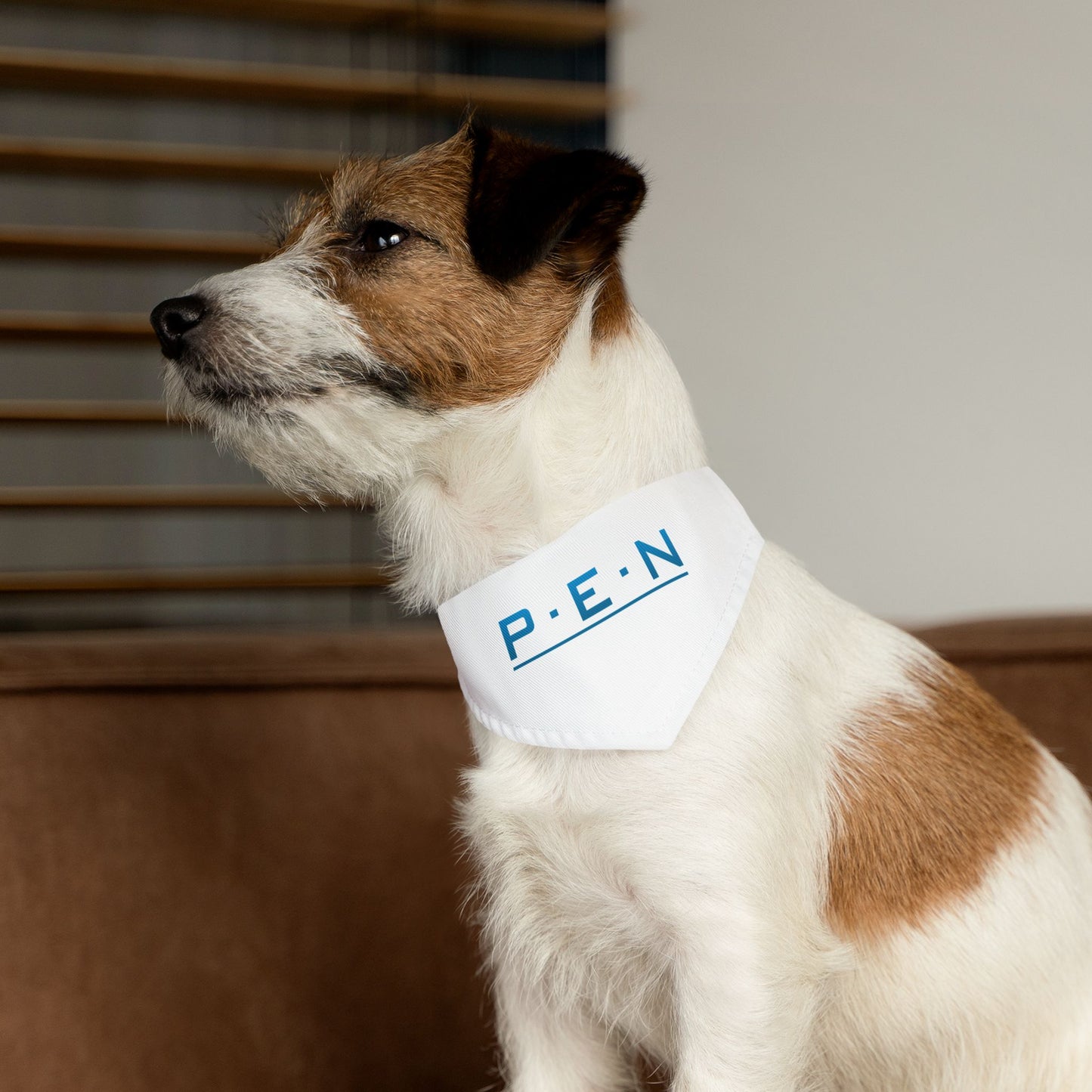Pet Bandana Collar - Pen