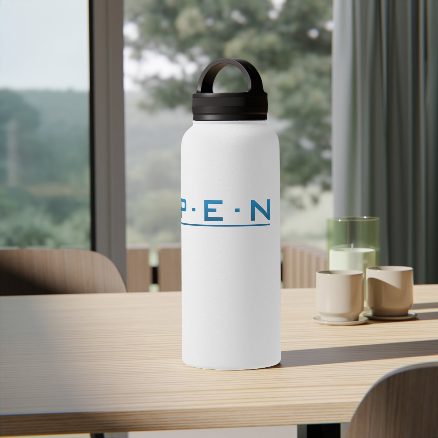 Stainless Steel Water Bottle, Handle Lid - Pen