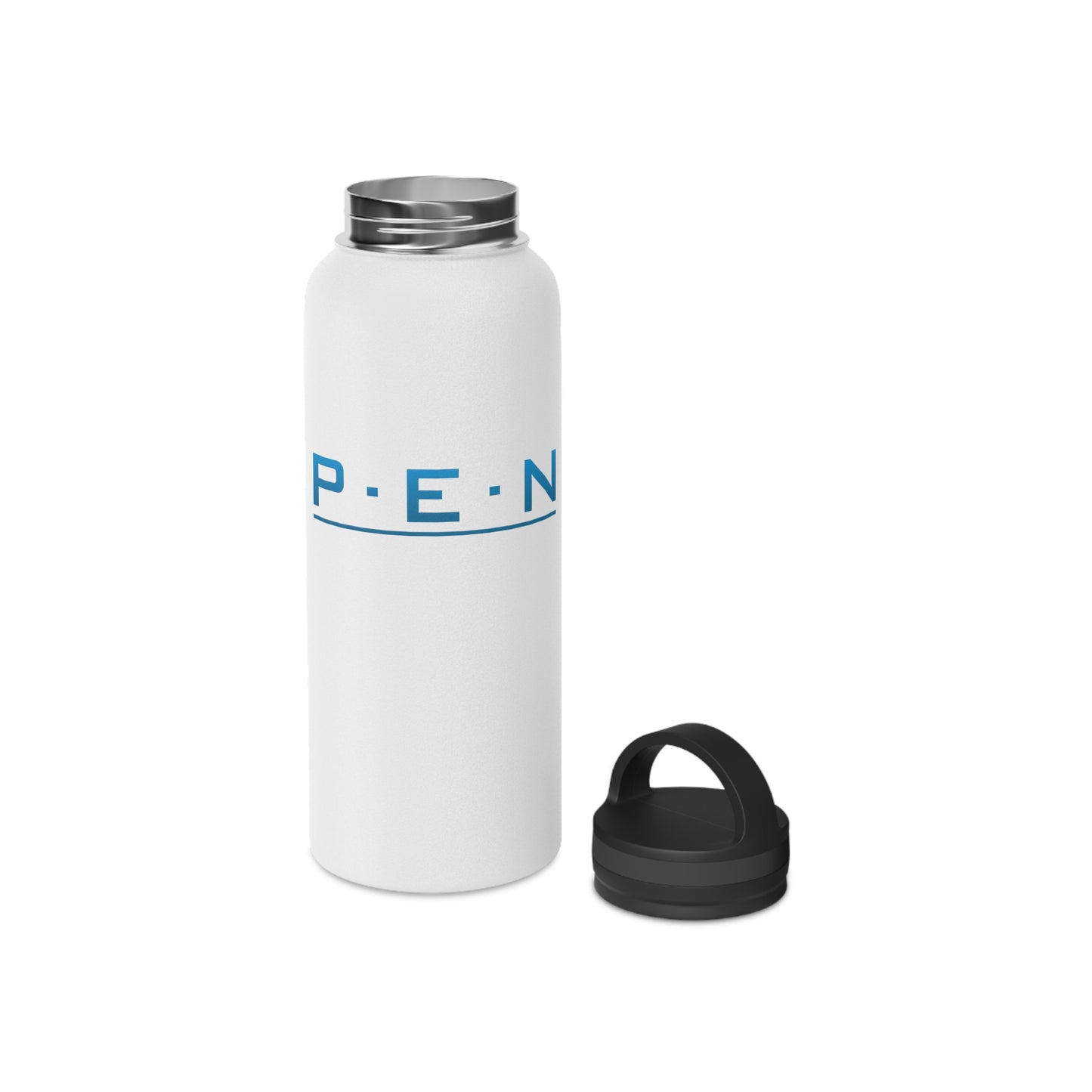 Stainless Steel Water Bottle, Handle Lid - Pen