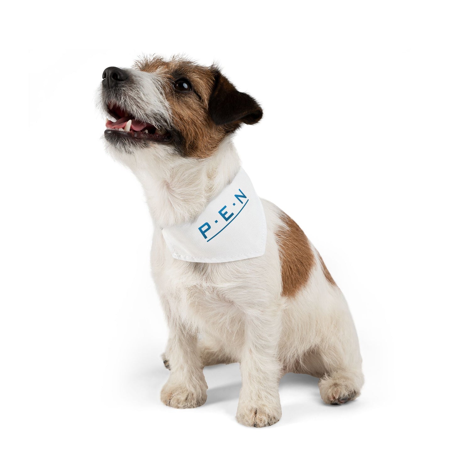 Pet Bandana Collar - Pen