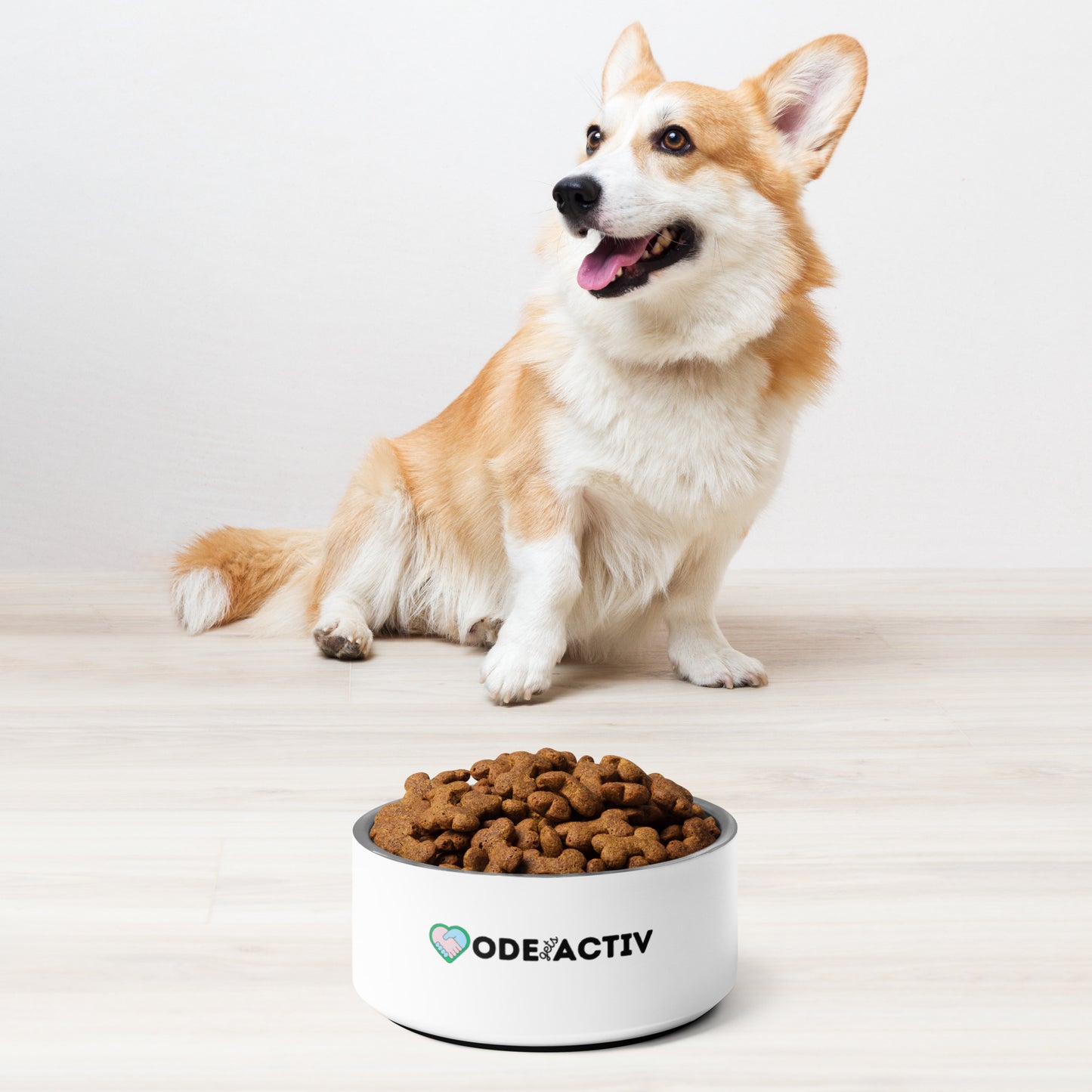 Pet bowl- ODEgA
