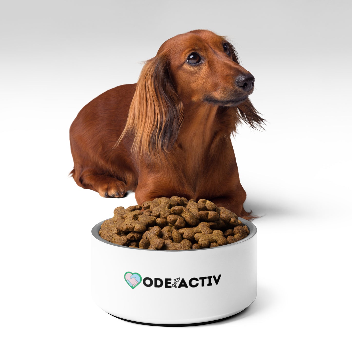 Pet bowl- ODEgA
