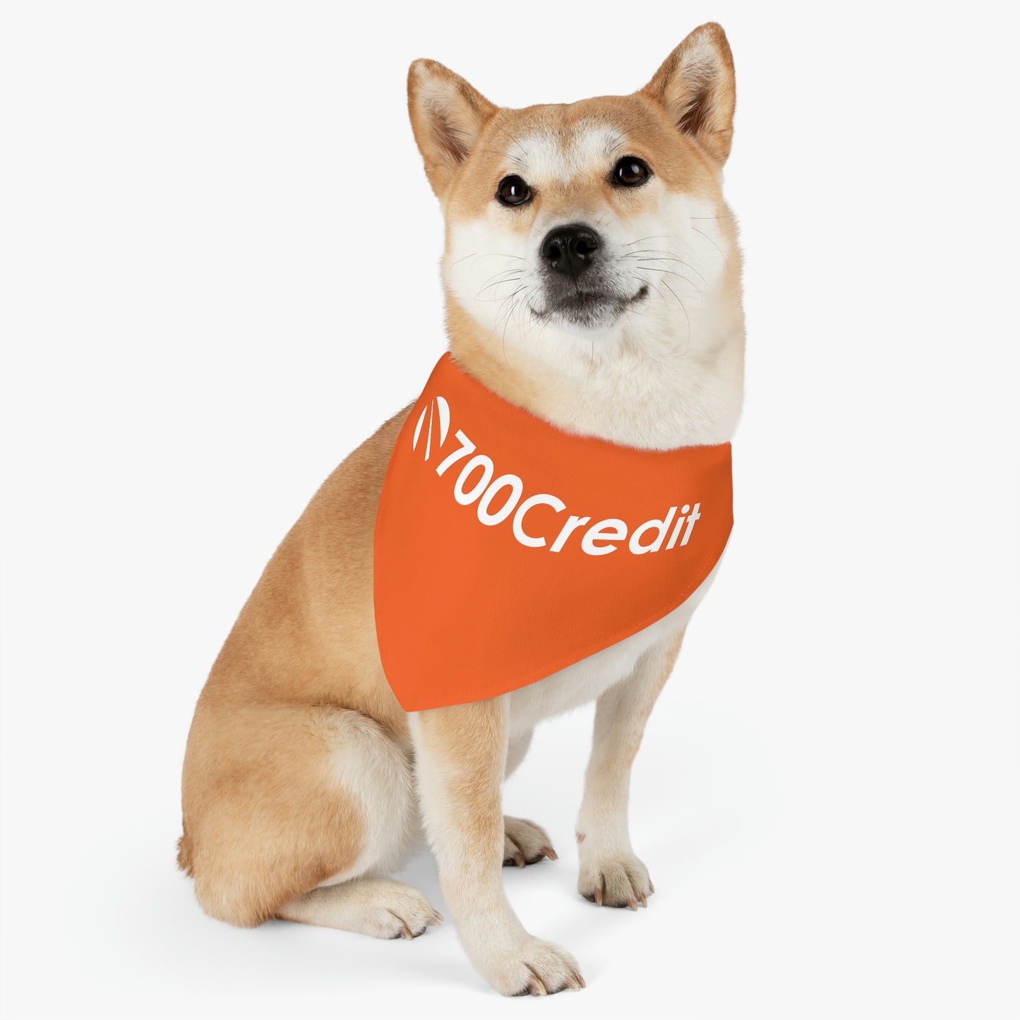 Pet Bandana Collar - 700 Credit