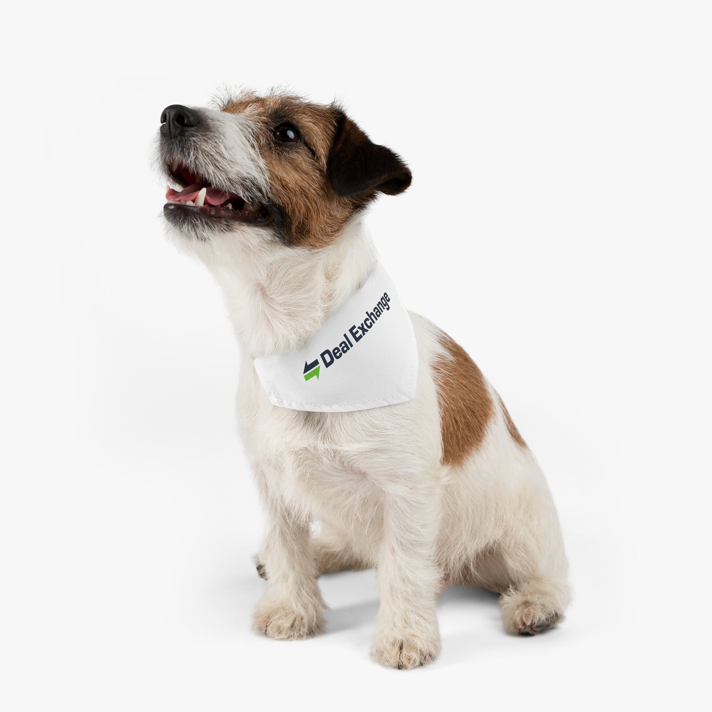 Pet Bandana Collar - Deal Exchange