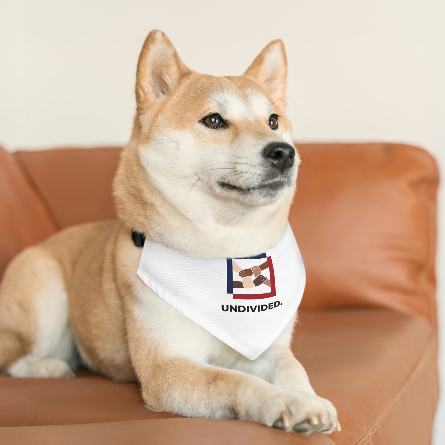 Pet Bandana Collar - Undivided