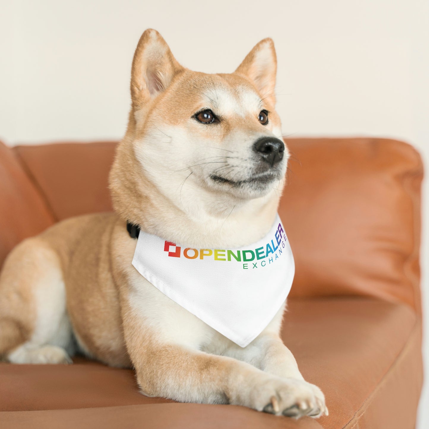 Pet Bandana Collar - Pride