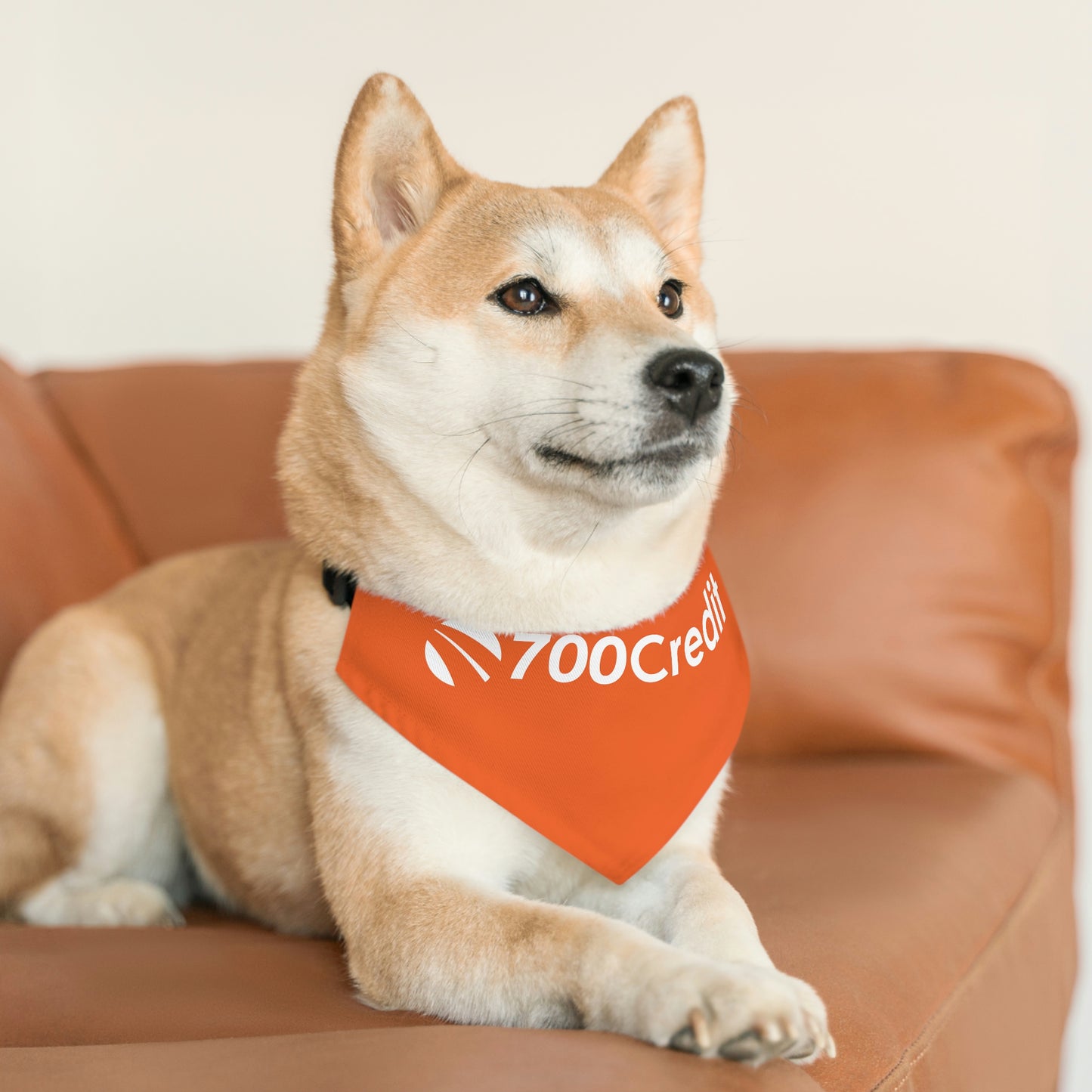Pet Bandana Collar - 700 Credit