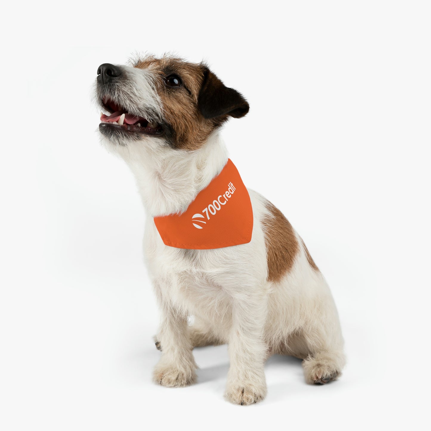 Pet Bandana Collar - 700 Credit
