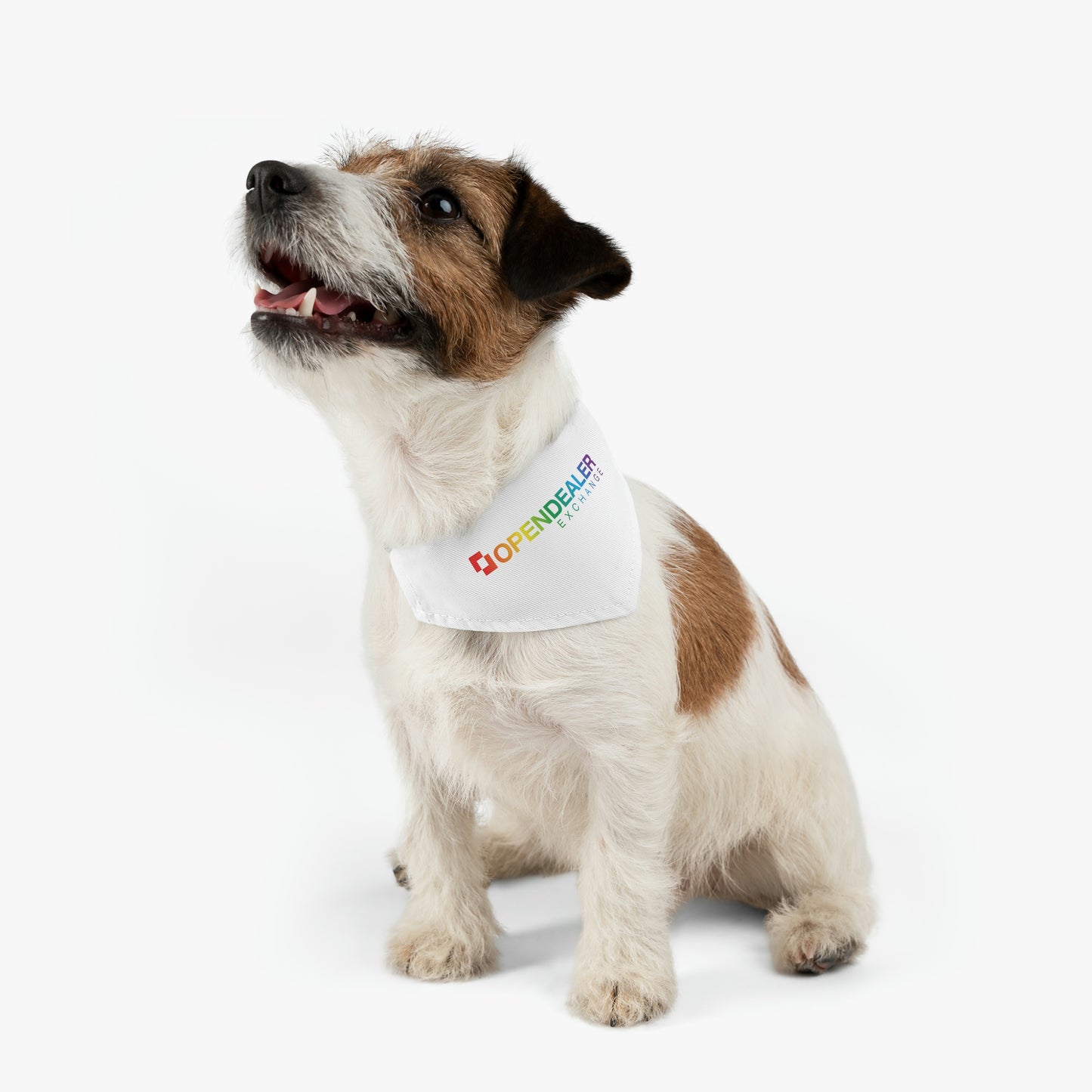 Pet Bandana Collar - Pride