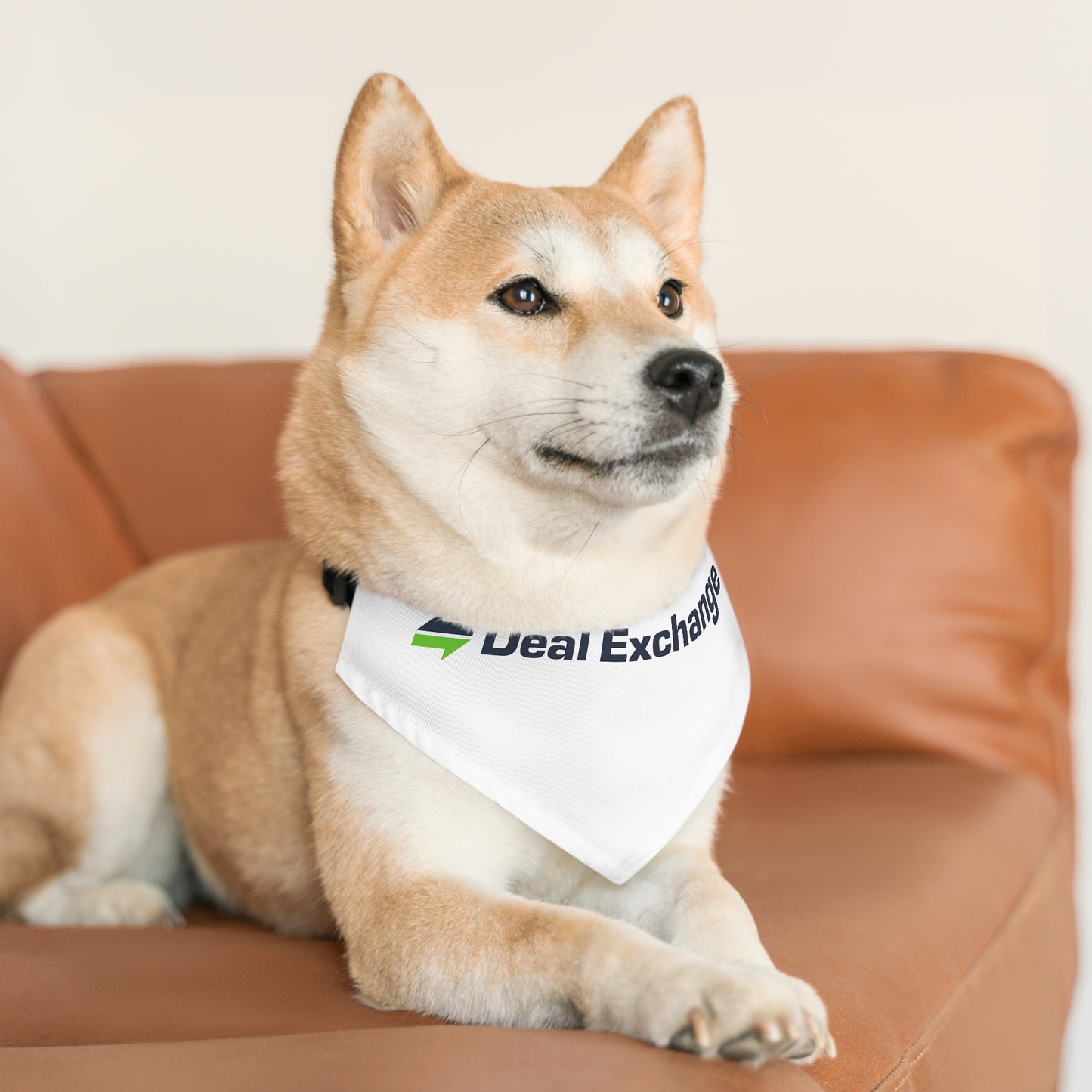 Pet Bandana Collar - Deal Exchange