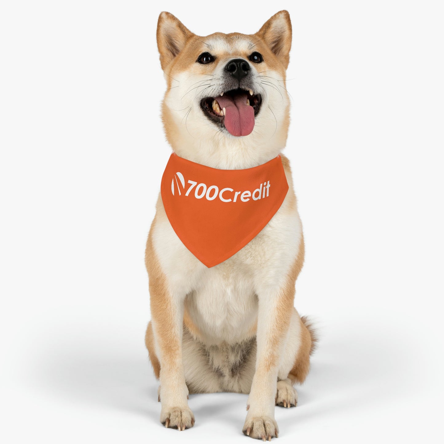 Pet Bandana Collar - 700 Credit