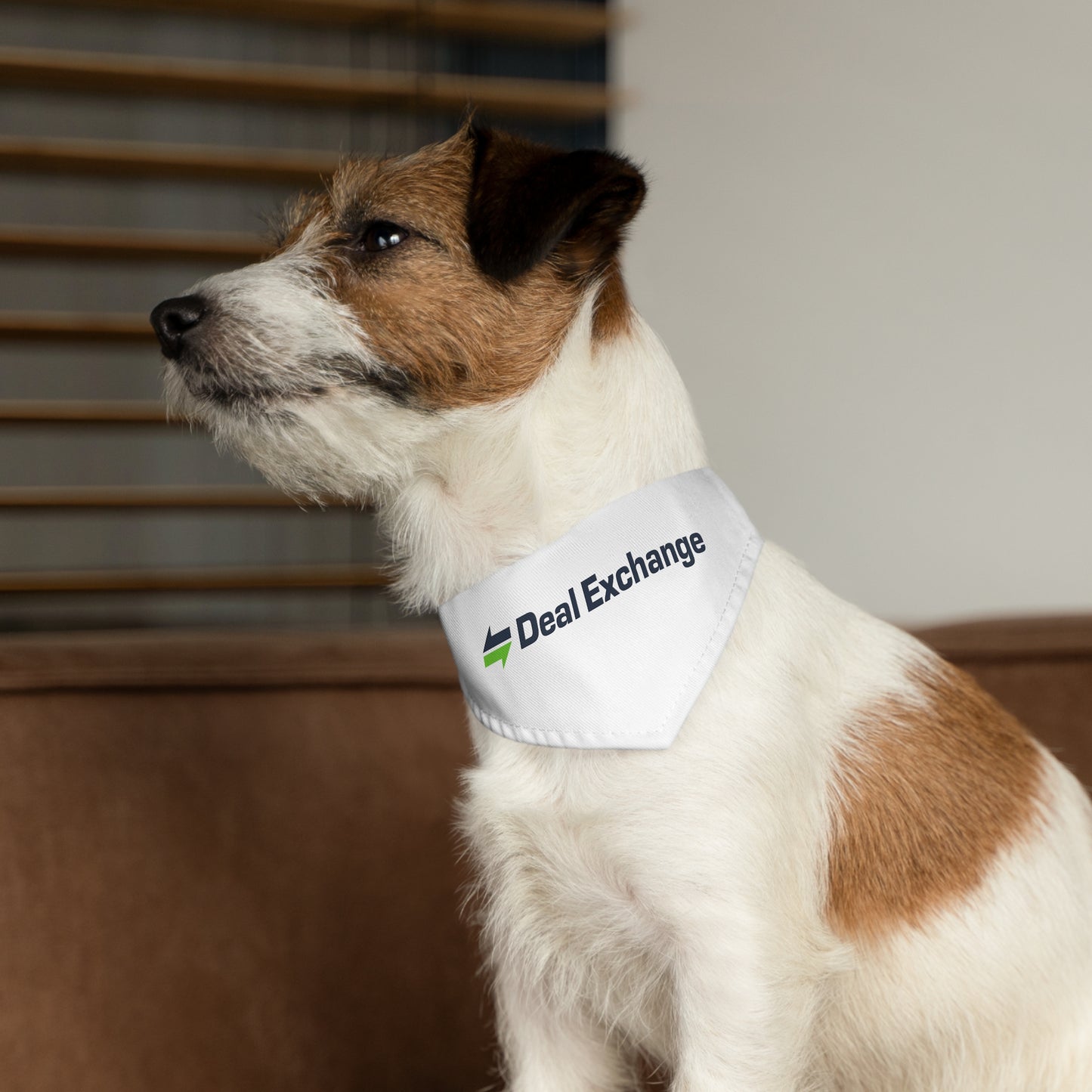 Pet Bandana Collar - Deal Exchange