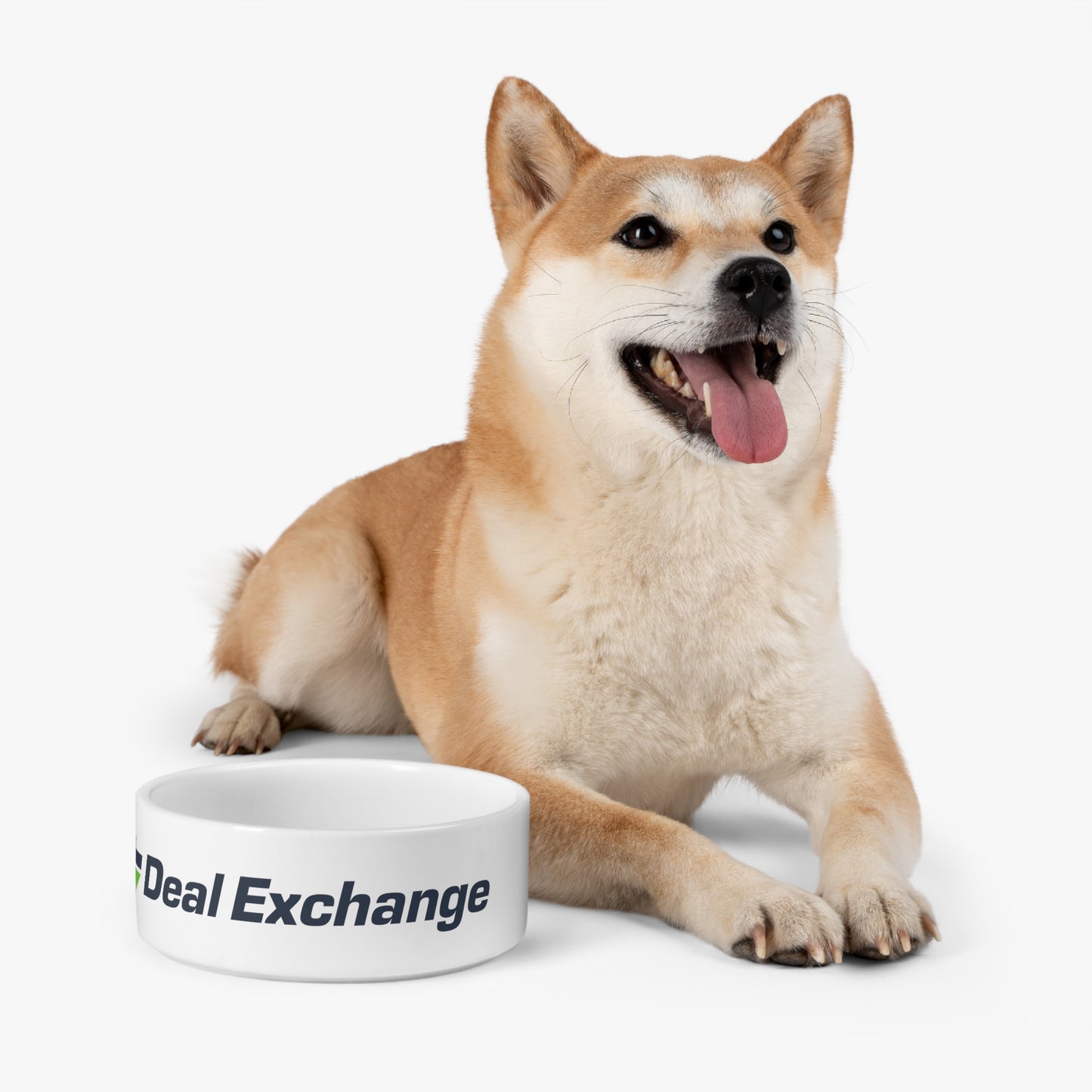 Pet Bowl - Deal Exchange