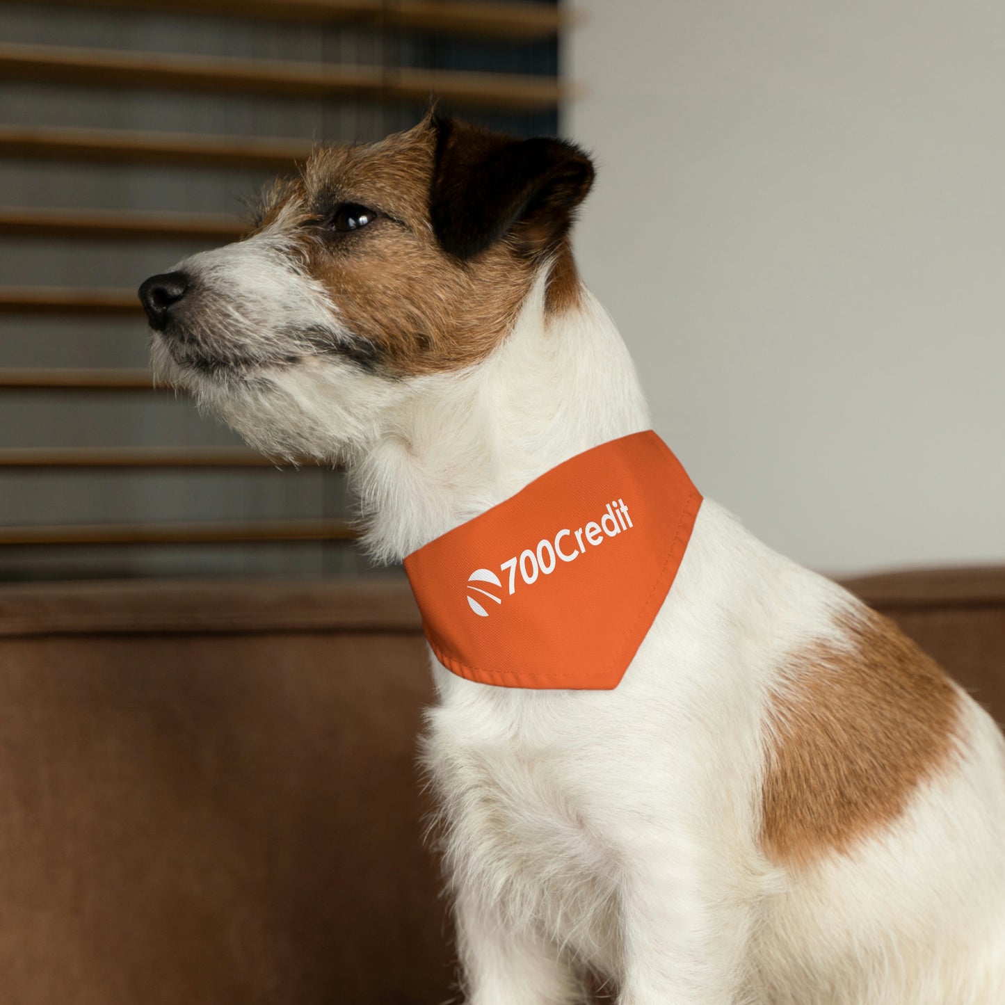 Pet Bandana Collar - 700 Credit