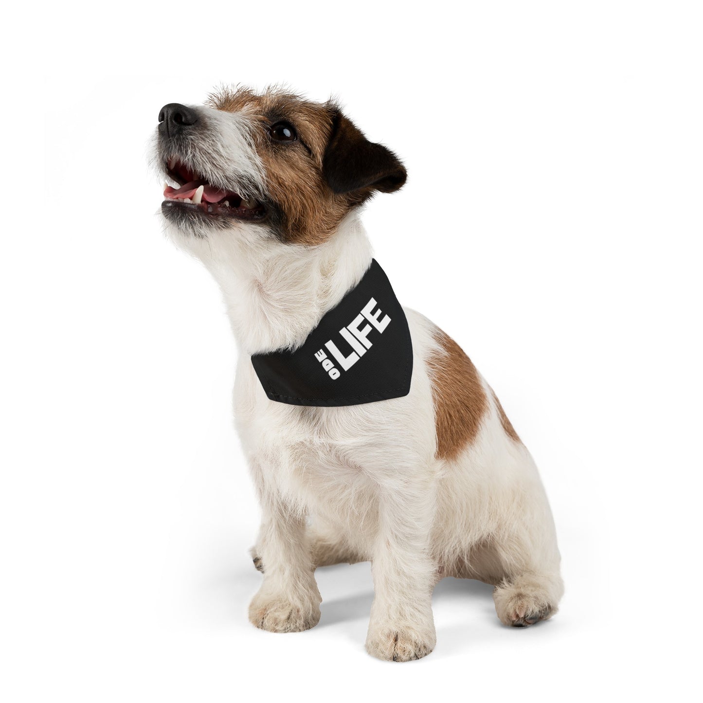 Pet Bandana Collar - ODE Life