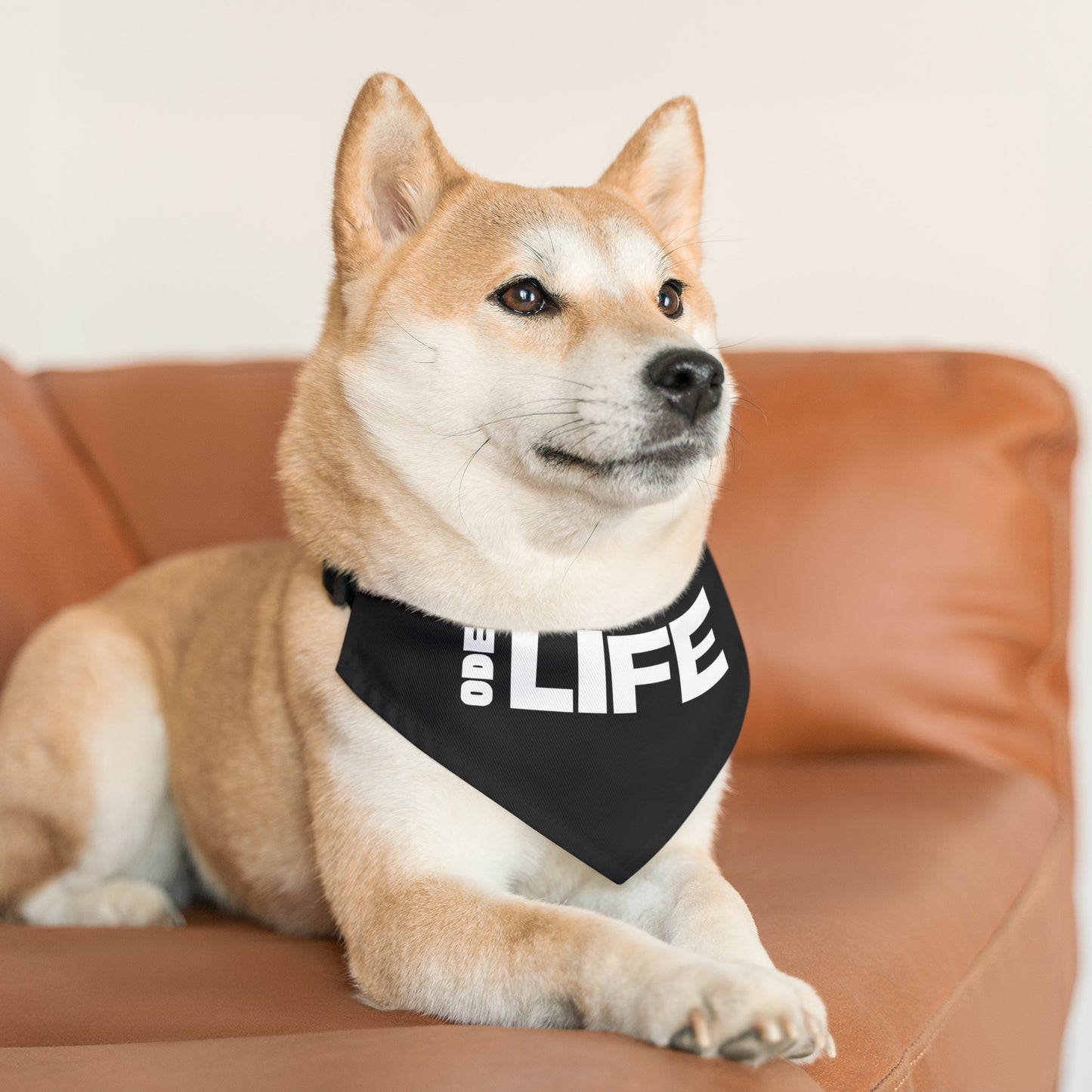 Pet Bandana Collar - ODE Life