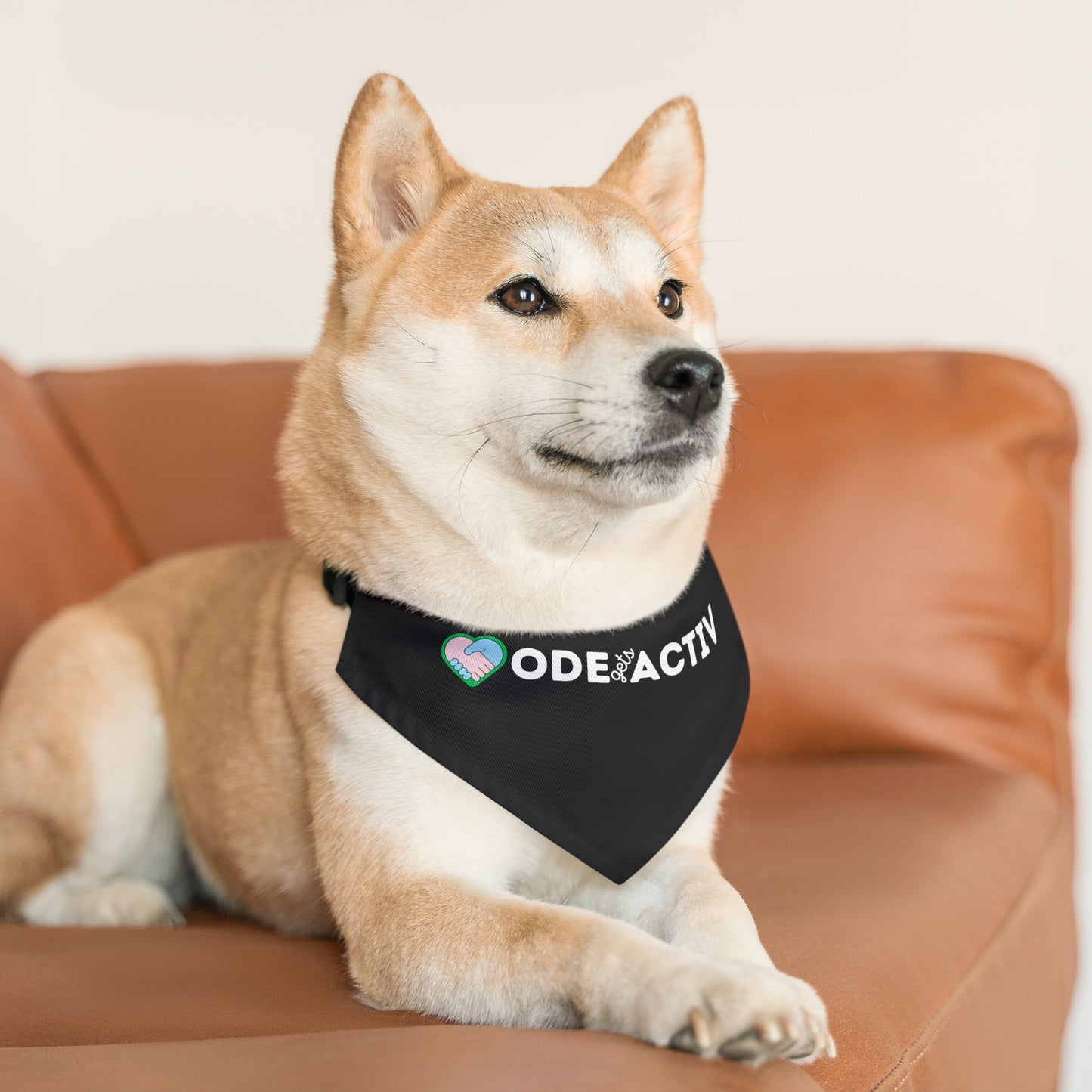 Pet Bandana Collar - ODEgA