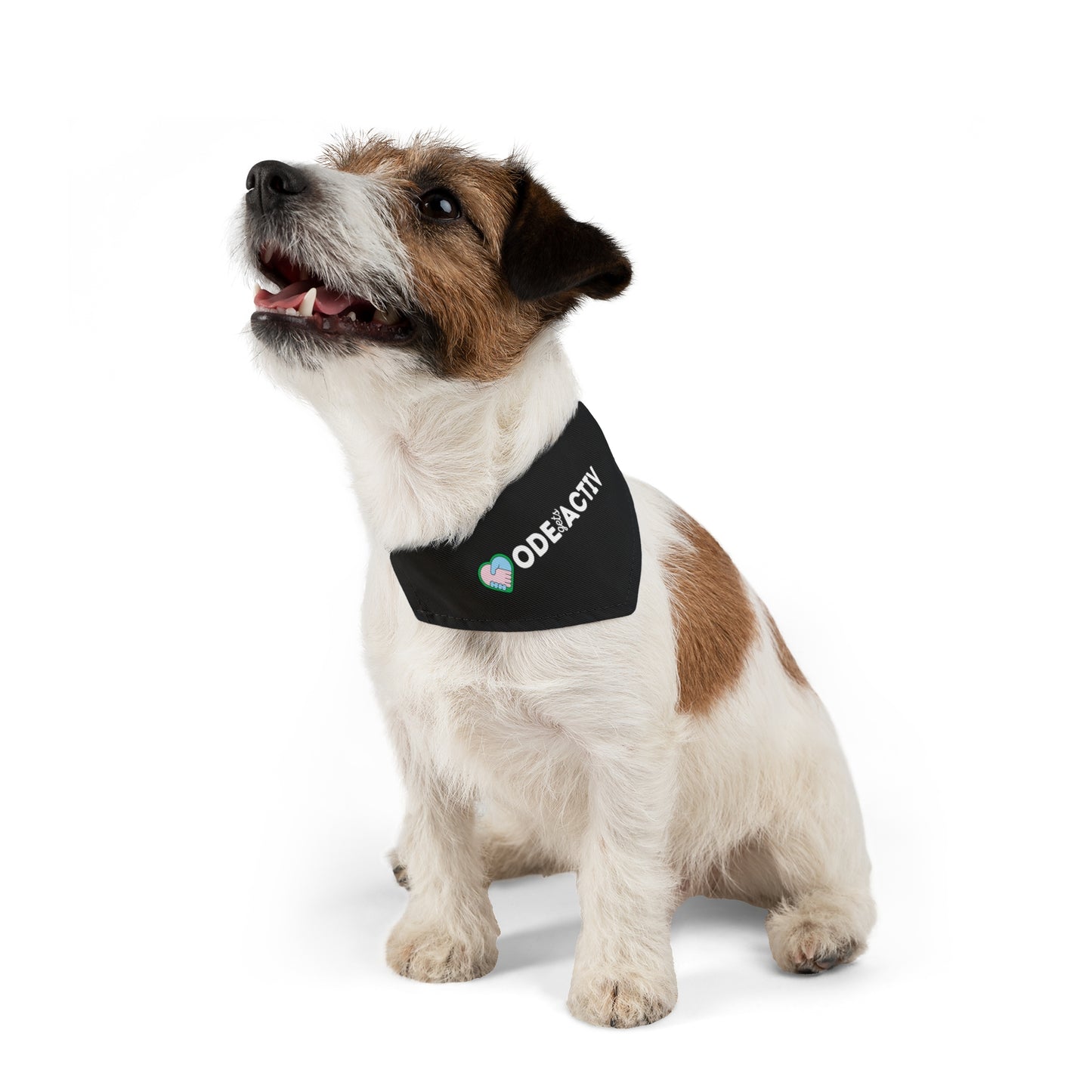 Pet Bandana Collar - ODEgA