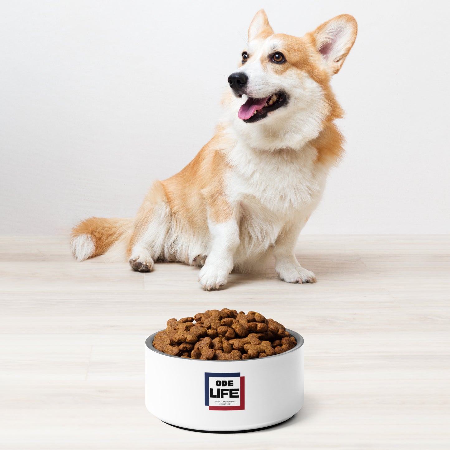 Pet bowl - ODE Life