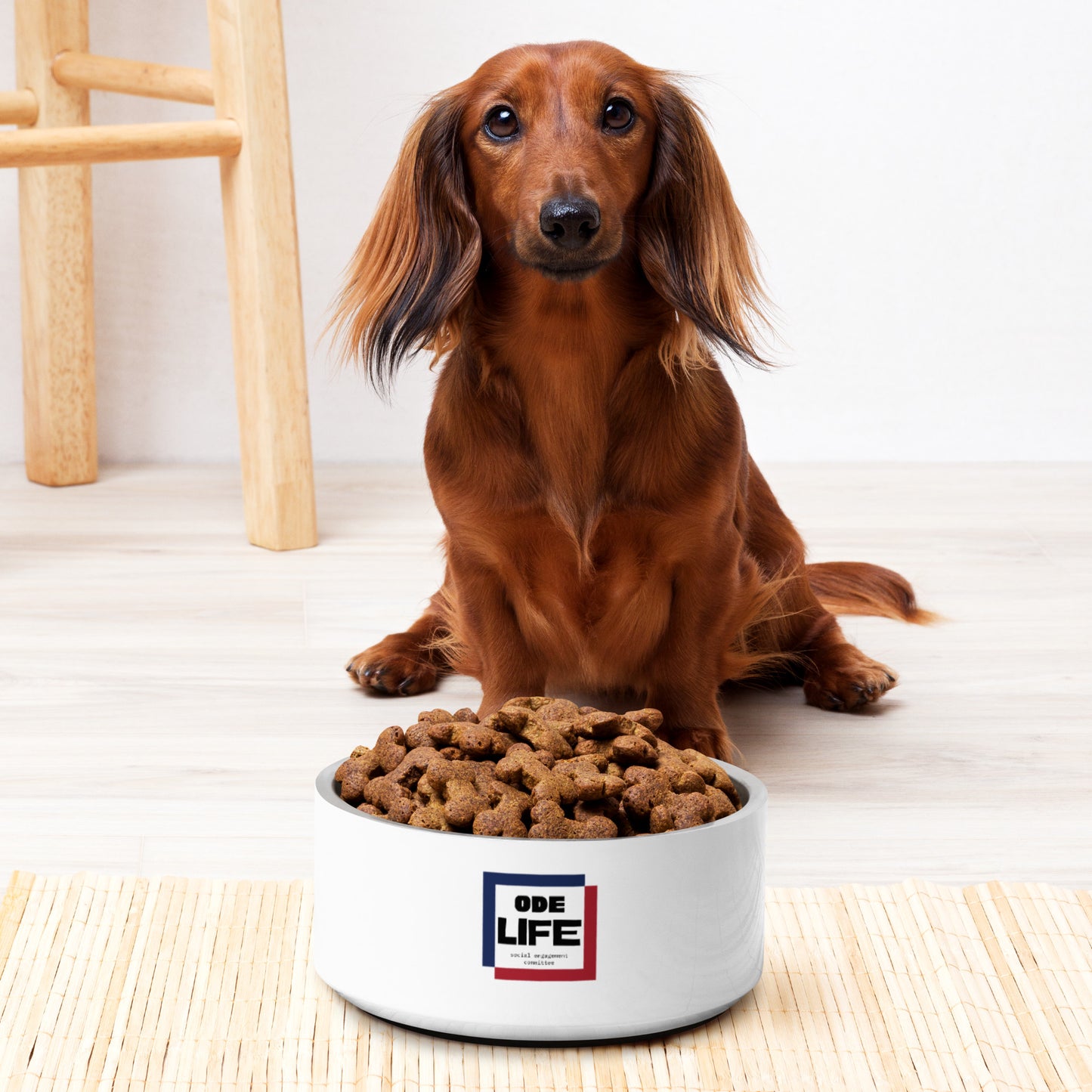 Pet bowl - ODE Life