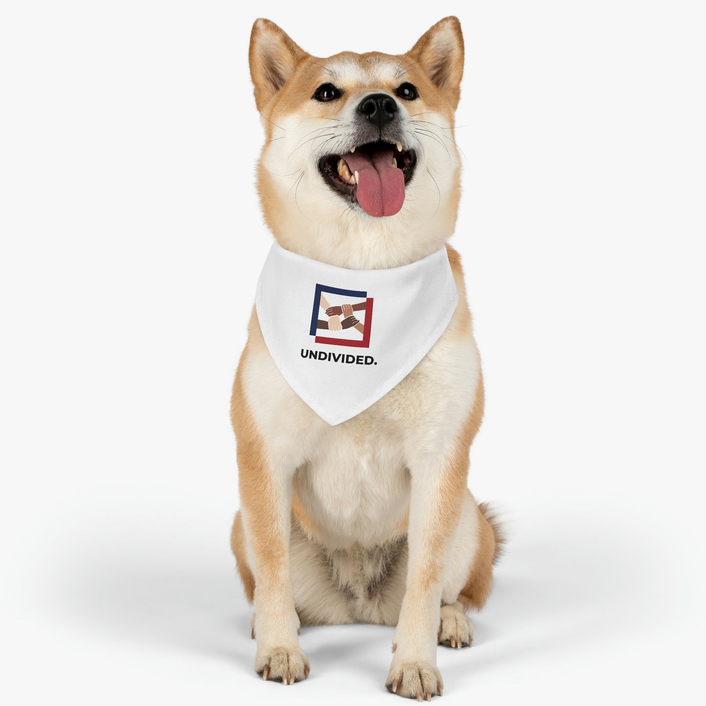 Pet Bandana Collar - Undivided