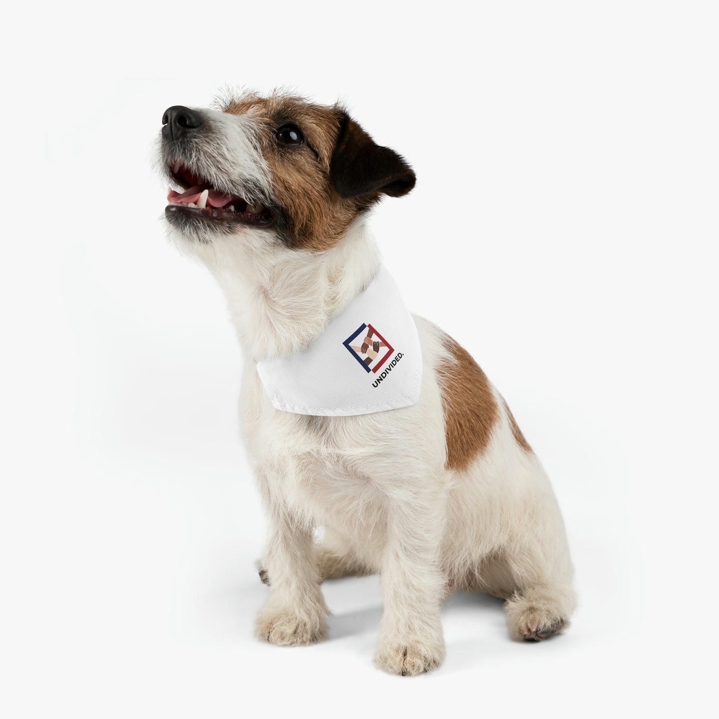 Pet Bandana Collar - Undivided