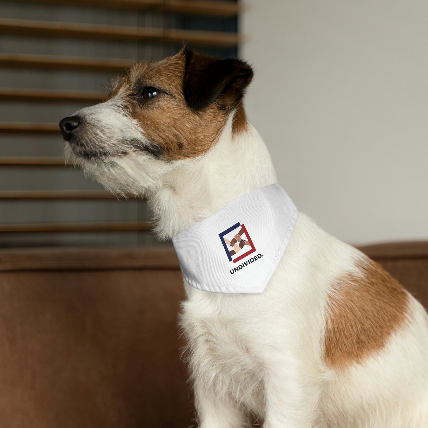 Pet Bandana Collar - Undivided