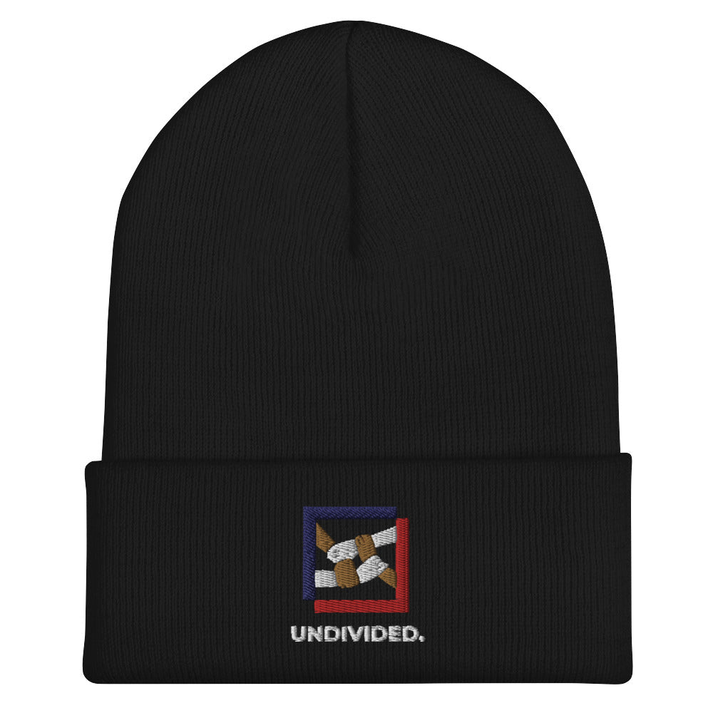 Cuffed Beanie - Undivided