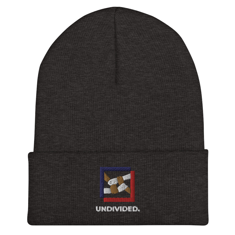 Cuffed Beanie - Undivided