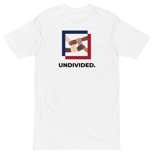 Heavyweight tee - Undivided.